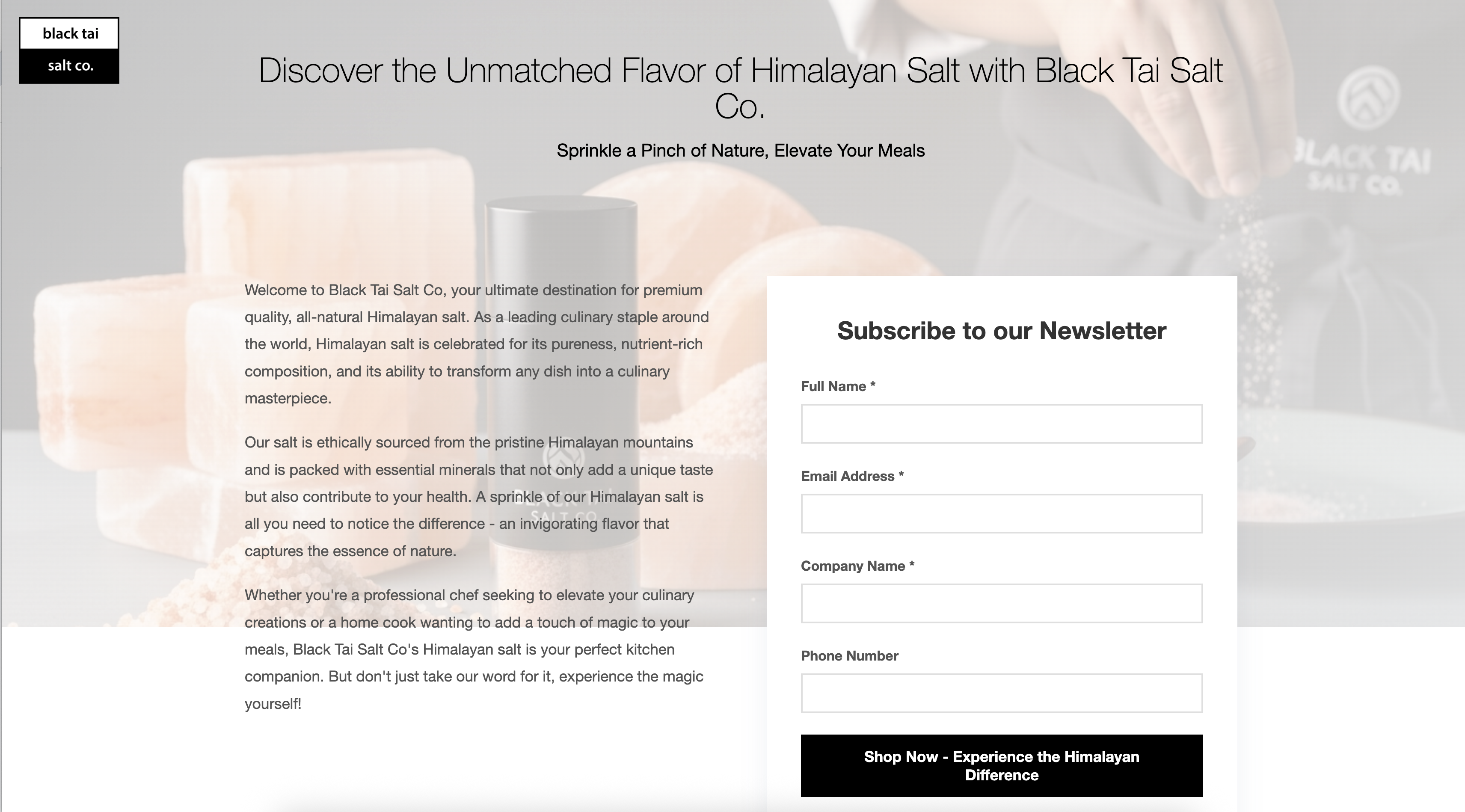 Auto-Generated Landing Page